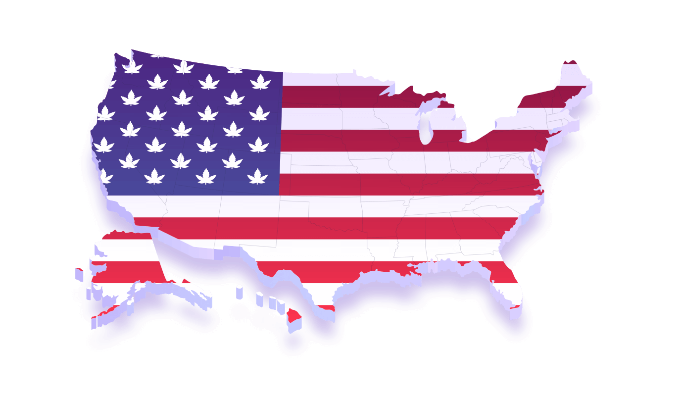 usa flag